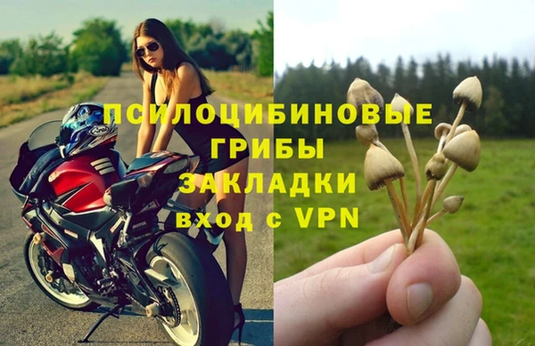 скорость Нязепетровск